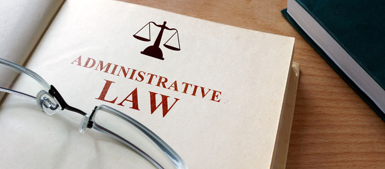Administrative Law Assignment Help Online