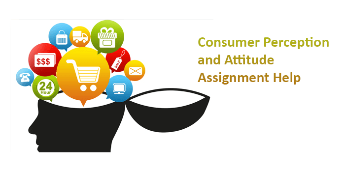 Consumer Perception and Attitude Assignment Help Australia