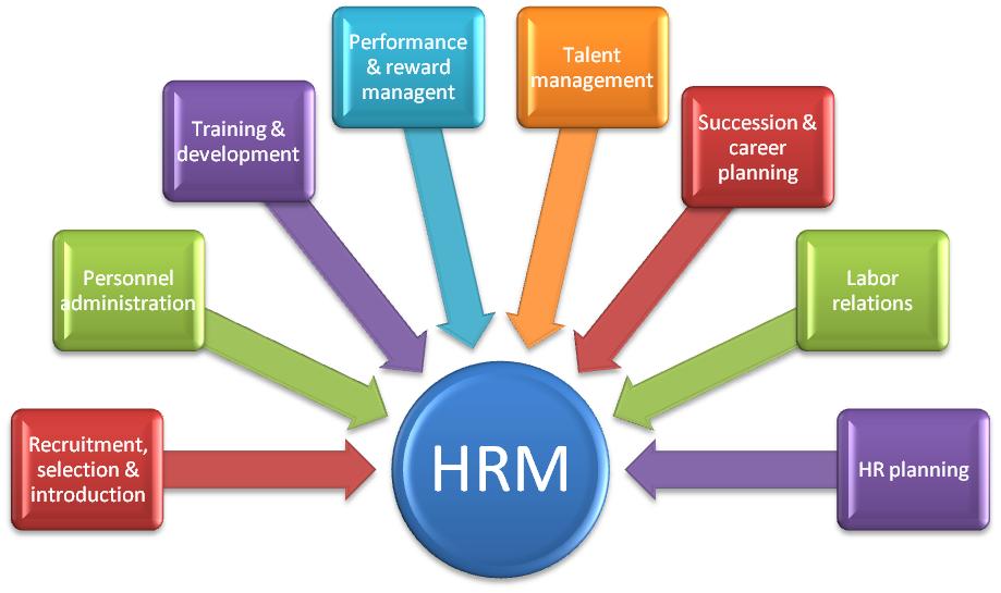 Human resources management assignment help