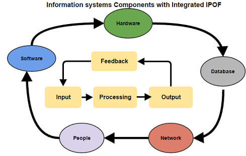 Information System Assignment Services