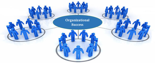 Organizational Development Assignment Help