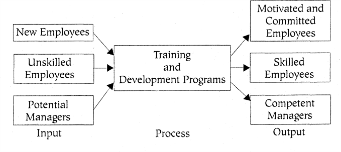 Training and Development HR Assignment Help